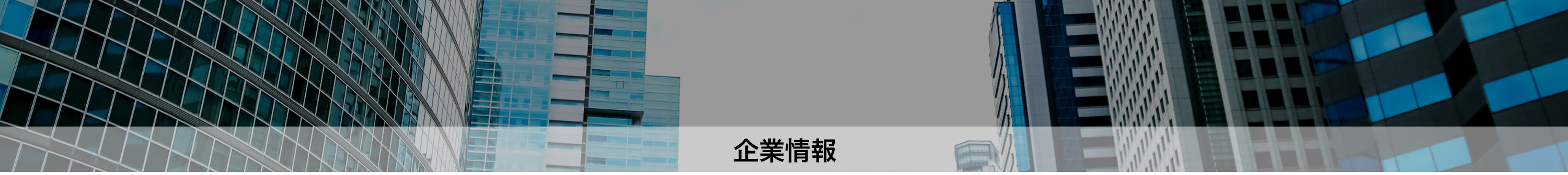 企業情報