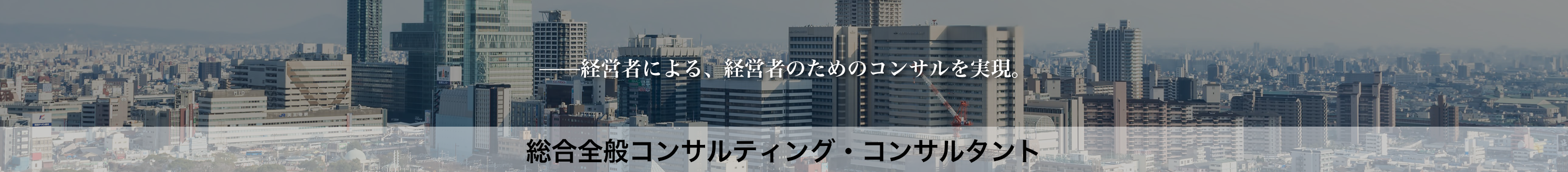 総合全般コンサルティング・コンサルタント