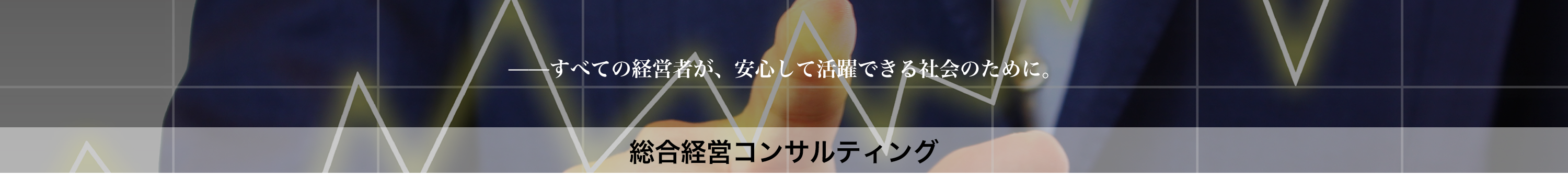 総合経営コンサルティング